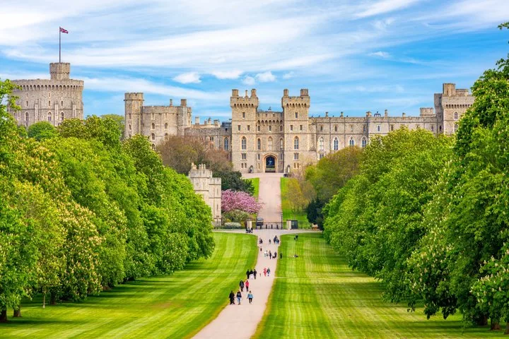 A long path leads to a large castle with green trees.